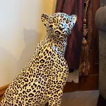 Elm Tree Bed & Breakfast