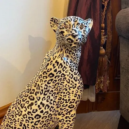 Elm Tree Alojamento de Acomodação e Pequeno-almoço