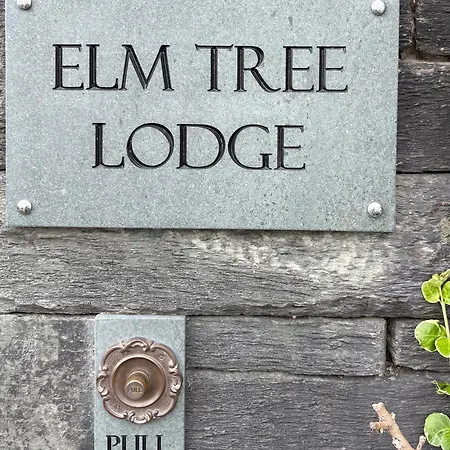 Elm Tree Keswick (Cumbria)