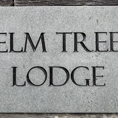Elm Tree 4* كيسويك