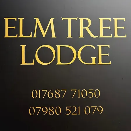 Elm Tree