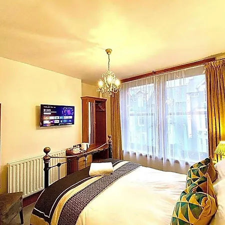 Elm Tree 4*