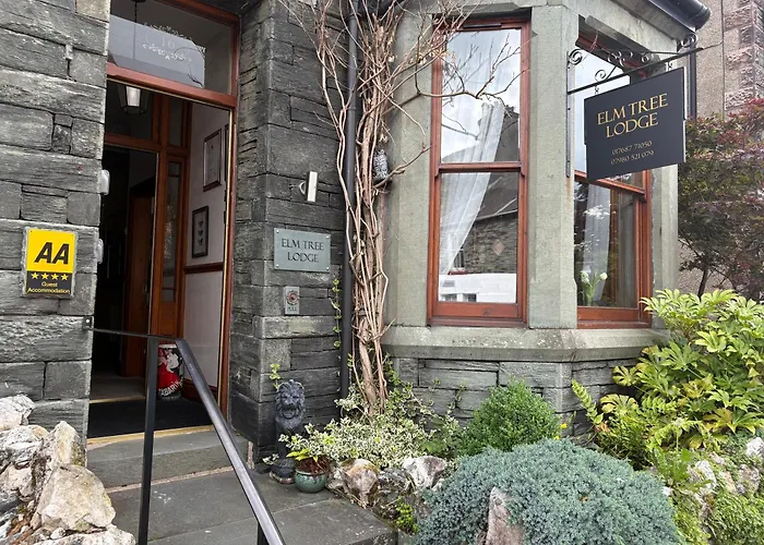 Elm Tree 4*