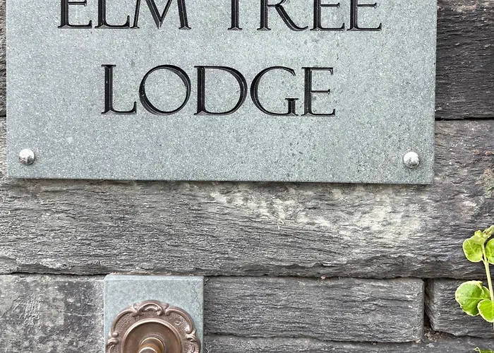 Elm Tree Keswick (Cumbria)